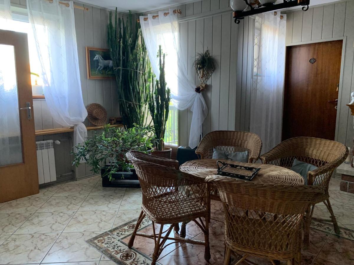 Pokoje Goscinne U Barbary Władysławowo Buitenkant foto